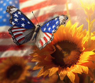 'American Sunflower" 20oz Tumbler Wrap